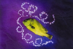 急いで修正P4040203-2